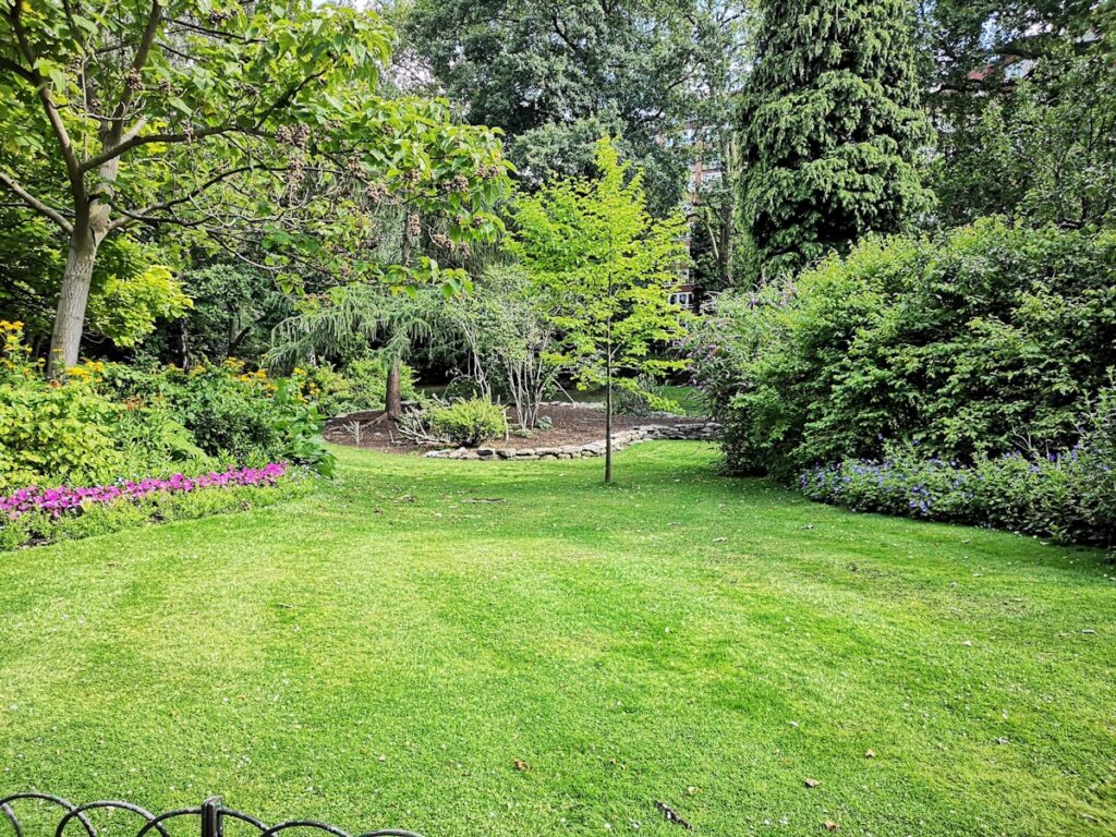 Green grass field with trees on a rural property